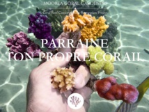 Moorea : des jeunes s'engagent pour sauver les coraux Moorea : des jeunes s'engagent pour sauver les coraux