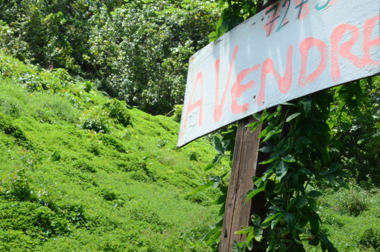 Achat et vente de terrain : nos explications sur la procédure Achat et vente de terrain : nos explications sur la procédure