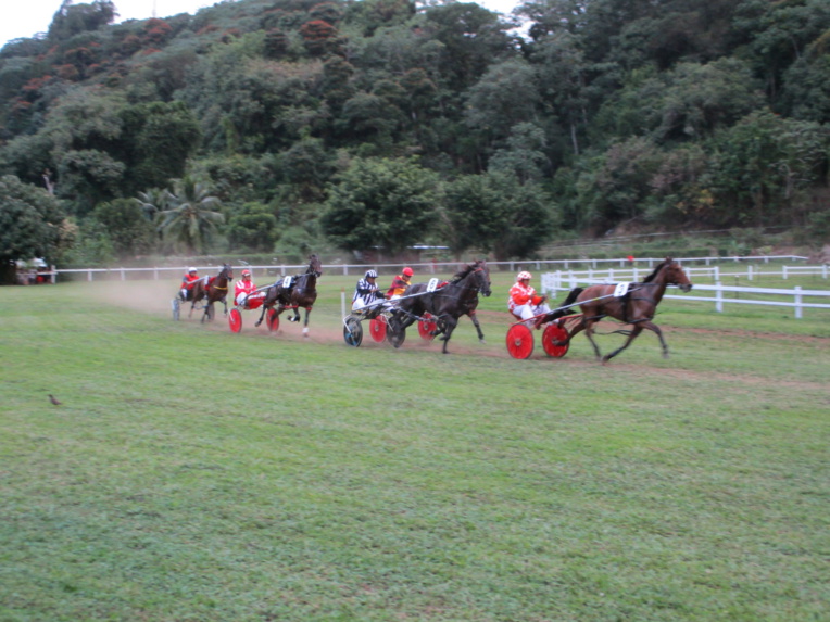 Les courses démarreront à partir de 14 heures, dimanche. Les courses démarreront à partir de 14 heures, dimanche.