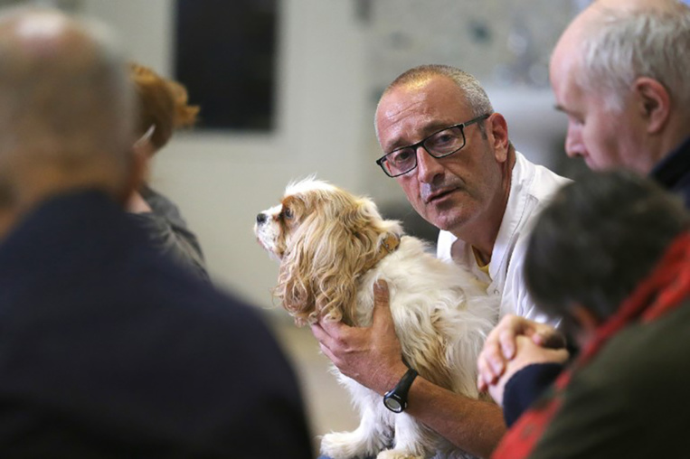 A Amiens, des chiens soignent des malades mentaux