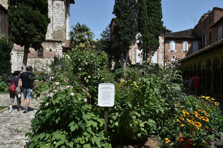 A Albi, la longue route vers l'autosuffisance alimentaire
