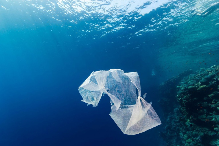 Environnement : Moins de sacs plastiques pour le fenua ?