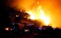 Incendies: près de 4.000 hectares de forêts détruits, l'Europe sollicitée