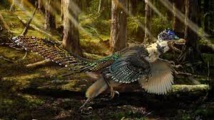 Un nouveau dinosaure à plumes affublé d'une énorme crête Un nouveau dinosaure à plumes affublé d'une énorme crête