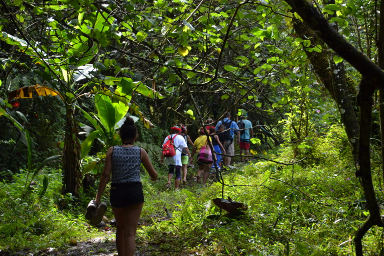 C'est une découverte entre nature et culture que vous propose Tahiti Tourisme. C'est une découverte entre nature et culture que vous propose Tahiti Tourisme.