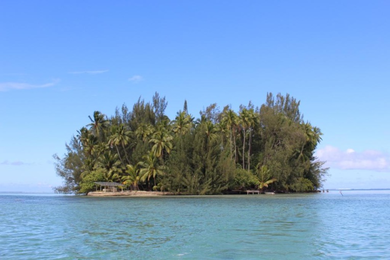 La petite fille de James Norman Hall fait la lumière sur son père, Conrad Hall La petite fille de James Norman Hall fait la lumière sur son père, Conrad Hall