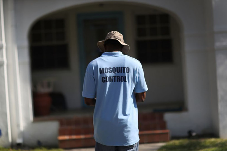 La transmission du virus du Zika par un simple baiser est improbable La transmission du virus du Zika par un simple baiser est improbable