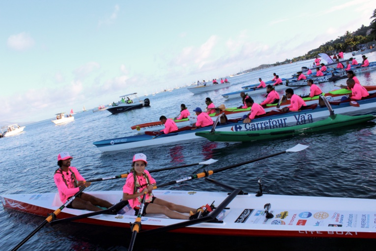 Don d'organes : Alexandra a réussi son défi Don d'organes : Alexandra a réussi son défi