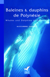 Baleines et dauphins, un lien étroit avec le peuple ma’ohi Baleines et dauphins, un lien étroit avec le peuple ma’ohi