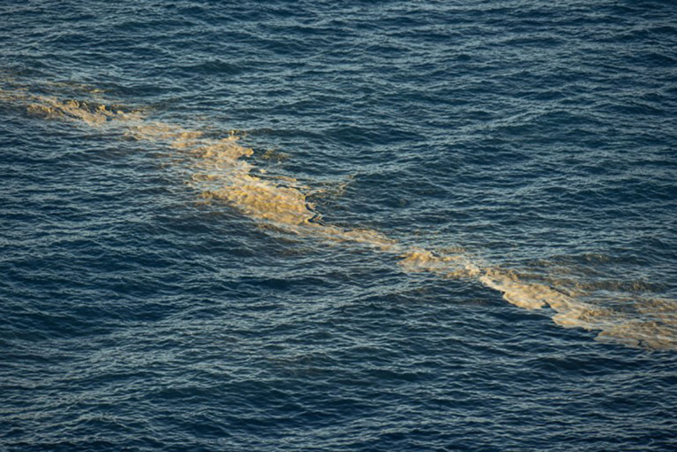 Canaries: prolifération d'une microalgue irritant les baigneurs Canaries: prolifération d'une microalgue irritant les baigneurs