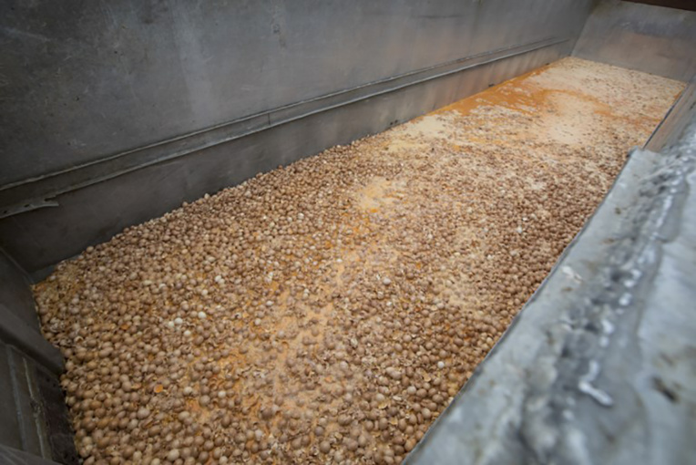 Oeufs contaminés: deux arrestations, l'enquête contre la fraude s'accélère