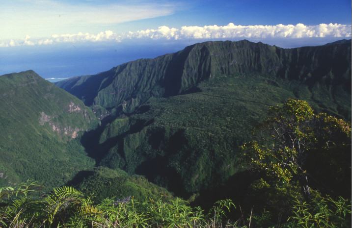 Une vue des plateaux aux orangers de la Punaruu, depuis le belvédère du Marau, à 1 200 m d’altitude.