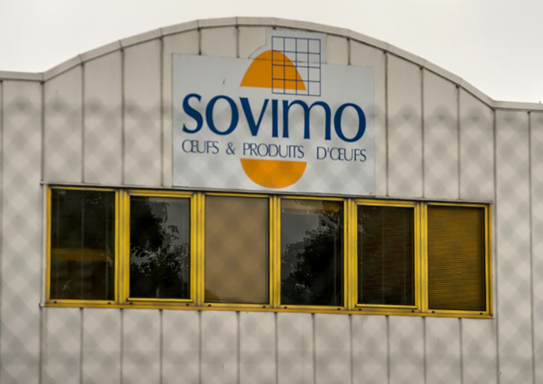 Des oeufs contaminés au fipronil ont été "mis sur le marché" en France Des oeufs contaminés au fipronil ont été "mis sur le marché" en France