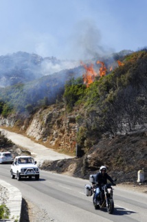 Incendies en Haute-Corse: des feux contenus après avoir parcouru environ 2.000 hectares
