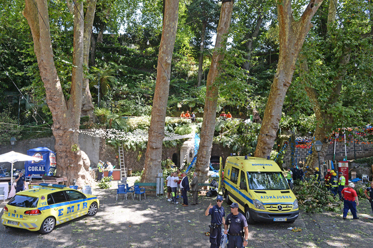 Portugal: la chute d'un arbre fait une dizaine de morts à Madère Portugal: la chute d'un arbre fait une dizaine de morts à Madère