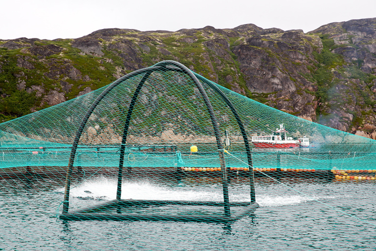 Les océans pourraient accueillir des millions de km2 d'aquaculture