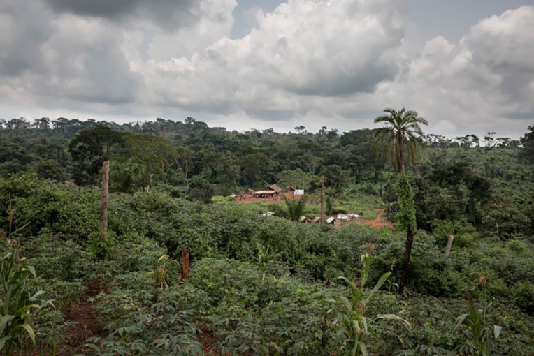 RDC: 40 morts dans un glissement de terrain dans le nord-est