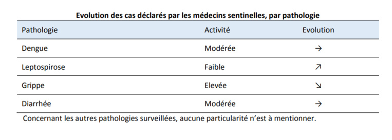 Grippe, dengue, diarrhée et leptospirose circulent toujours Grippe, dengue, diarrhée et leptospirose circulent toujours