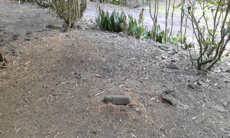 l'emplacement où se trouvait le tiki