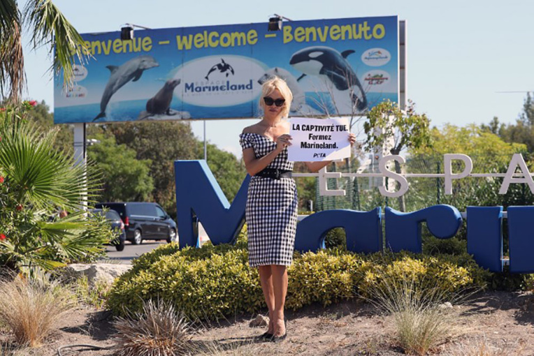 Pamela Anderson dénonce la captivité des animaux devant le Marineland d'Antibes