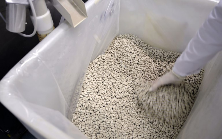 Médicament pour la thyroïde: lancement d'un numéro vert pour rassurer (ANSM) Médicament pour la thyroïde: lancement d'un numéro vert pour rassurer (ANSM)