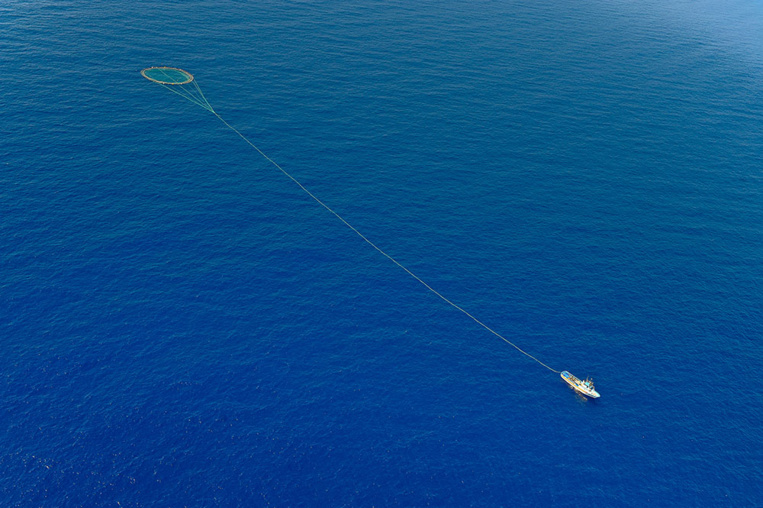 Plus de 45 tonnes de thon rouge saisies sur un chalutier portugais Plus de 45 tonnes de thon rouge saisies sur un chalutier portugais