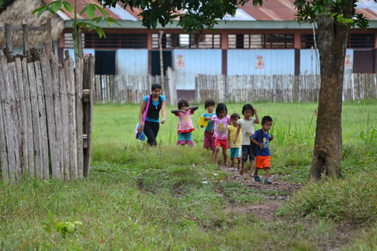Forêt d'Amazonie: les écologistes fulminent