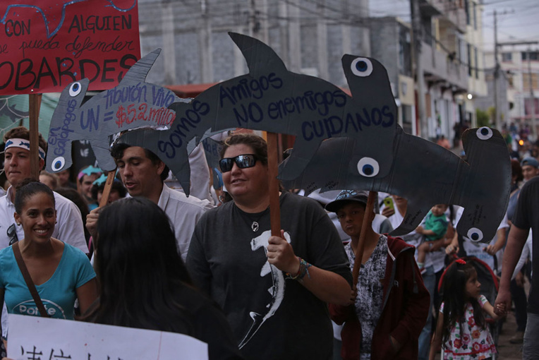 Les habitants des îles Galapagos sont descendus dans la rue vendredi pour protester contre la pêche d'espèces protégées par une immense flotte chinoise.