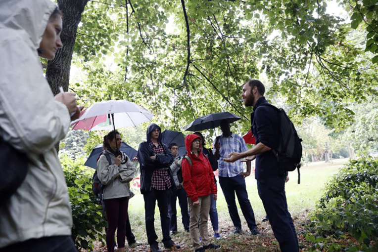 Une petite poêlée du Bois de Boulogne pour le dîner? Une petite poêlée du Bois de Boulogne pour le dîner?
