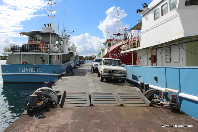 Licences accordées, bateaux prêts… le projet Hiva Toa bientôt sur pied