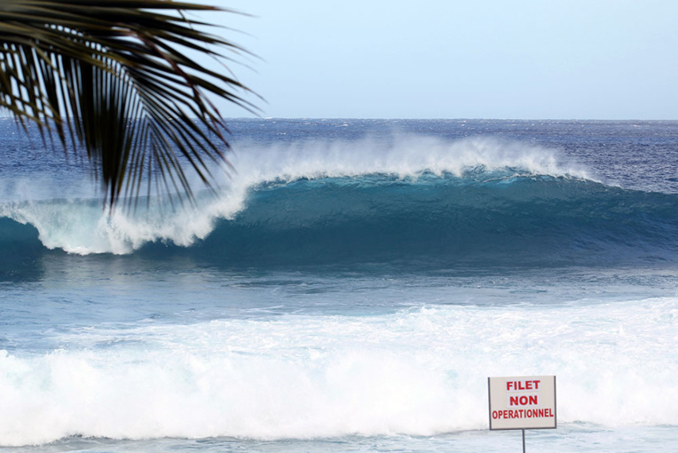Manifestation à La Réunion contre la gestion de la crise des requins