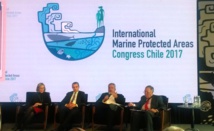 Aires marines protégées : rendez-vous en 2021 au Canada Aires marines protégées : rendez-vous en 2021 au Canada