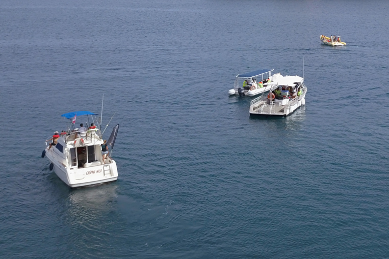 Près de 200 enfants profitent de l'édition 2017 de la 