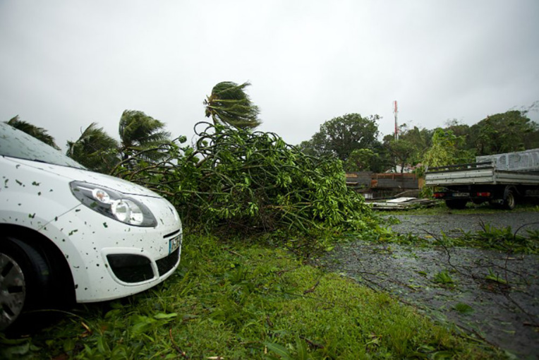 Les Saintes pansent leurs plaies après Maria Les Saintes pansent leurs plaies après Maria