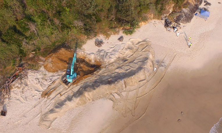 Exhumation et découpage d'une baleine de 18 tonnes sur une plage australienne Exhumation et découpage d'une baleine de 18 tonnes sur une plage australienne