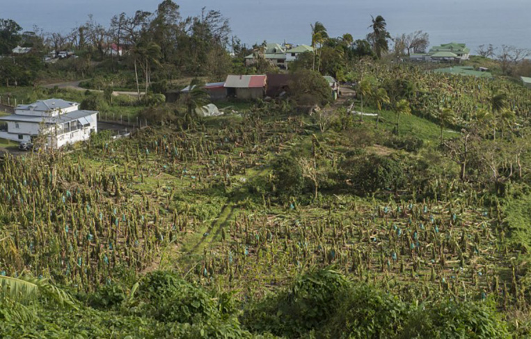 La N-Calédonie débloque 1250.000 euros pour les Antilles après les ouragans