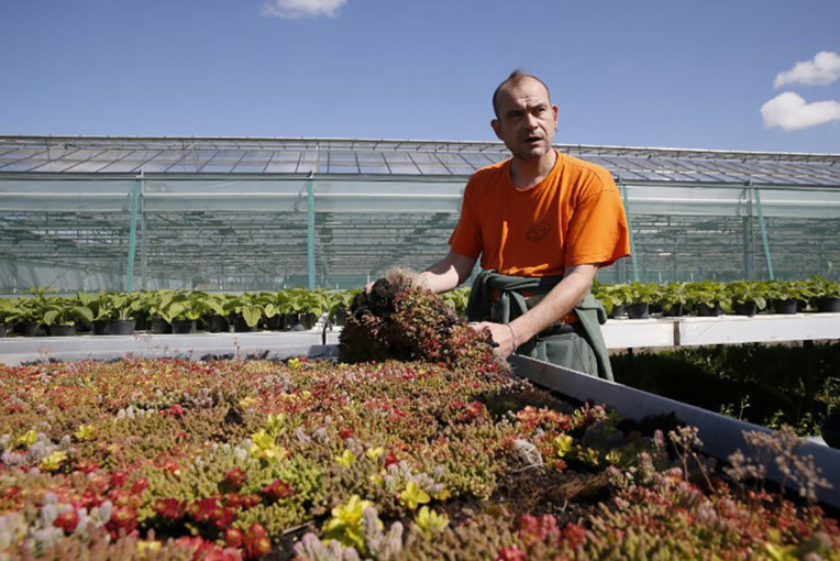 La campagne sur les toits de Paris: saison 2 pour les "Parisculteurs" La campagne sur les toits de Paris: saison 2 pour les "Parisculteurs"