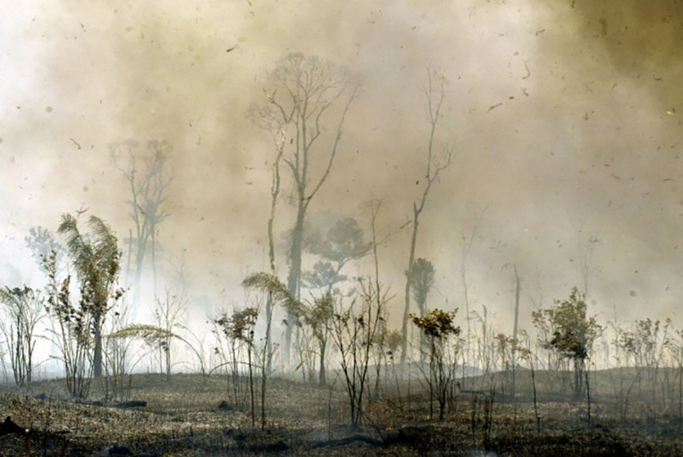 Avec la déforestation, les Tropiques émettent plus de CO2 qu'ils n'en capturent