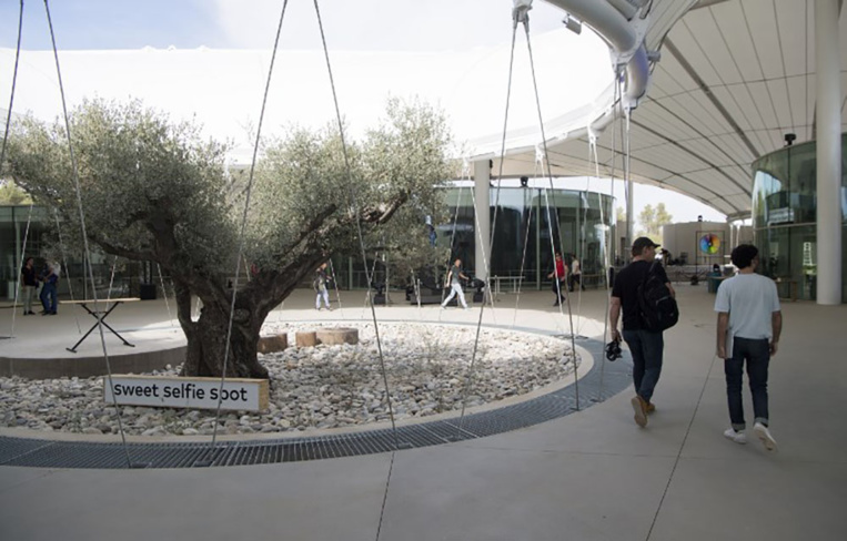 Start-up et pâte à modeler : thecamp veut "explorer le futur" dans la garrigue