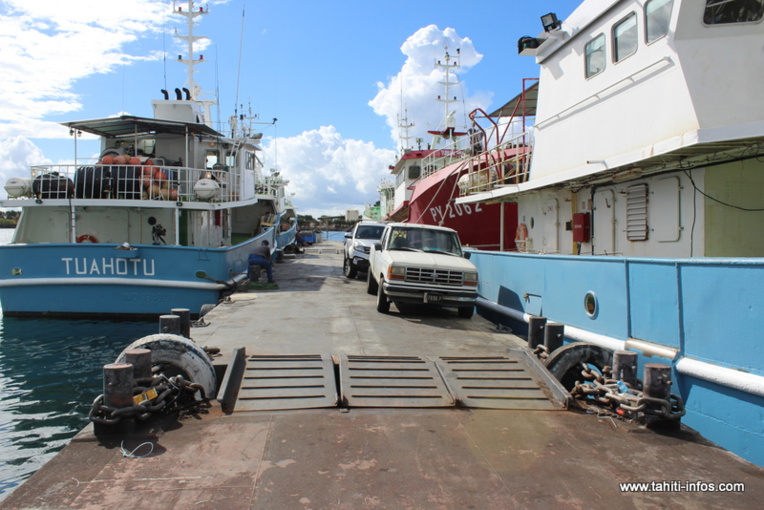 La polémique enfle autour du projet de pêche aux Marquises La polémique enfle autour du projet de pêche aux Marquises