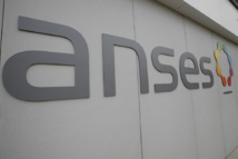 Perturbateurs endocriniens: cinq substances expertisées par l'Anses Perturbateurs endocriniens: cinq substances expertisées par l'Anses