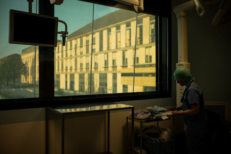 Un cas de rage chez un enfant du Rhône de retour du Sri Lanka