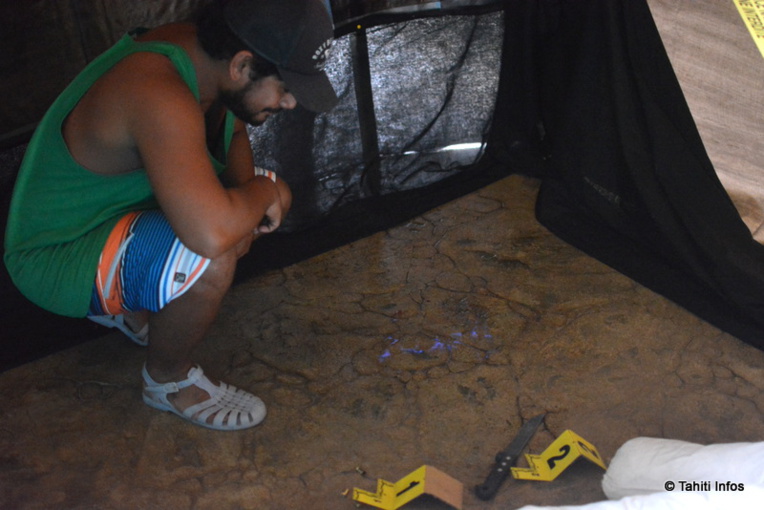 Chris, visiteur de la Fête de la science, écoute avec attention les explications de la police technique et scientifique sur la collecte des preuves sur une scène de crime (ici le sang brille grâce à un produit spécial). Découvrez cet atelier dans les jardins de l'Assemblée, un peu isolé du reste du village (ça vaut la peine !) Chris, visiteur de la Fête de la science, écoute avec attention les explications de la police technique et scientifique sur la collecte des preuves sur une scène de crime (ici le sang brille grâce à un produit spécial). Découvrez cet atelier dans les jardins de l'Assemblée, un peu isolé du reste du village (ça vaut la peine !)