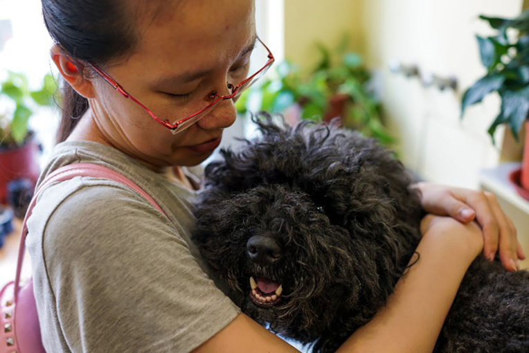 En Italie, des jours de congés pour soigner un animal malade En Italie, des jours de congés pour soigner un animal malade