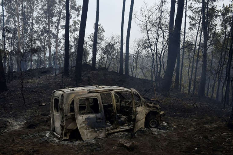 Incendies au Portugal et en Espagne: plus d'une trentaine de morts Incendies au Portugal et en Espagne: plus d'une trentaine de morts