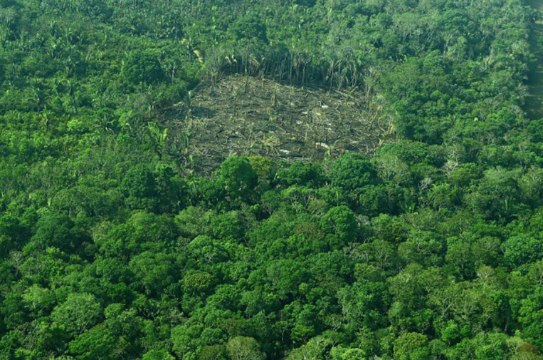 Changement climatique: la gestion des sols peut fortement réduire le CO2 Changement climatique: la gestion des sols peut fortement réduire le CO2