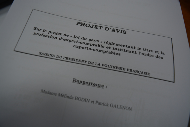 Experts-comptables : Le CESC n'émet pas d'avis mais des recommandations