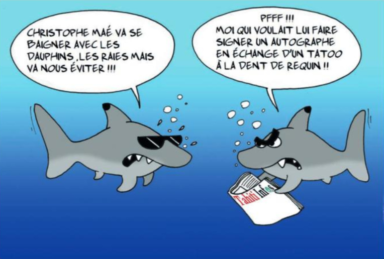 " Christophe Maé en Polynésie " par Munoz " Christophe Maé en Polynésie " par Munoz