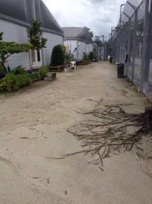 Australie: tensions avant la fermeture d'un camp de réfugiés controversé