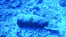 Neuf obus américains localisés dans la passe de Bora Bora